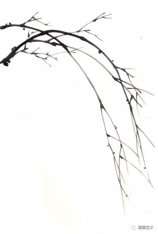 艾草种植方法：掌握关键技巧，实现丰收之道