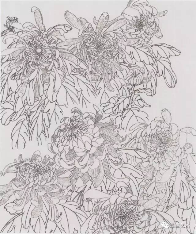 昙花扦插盆：掌握技巧，轻松繁殖美丽昙花