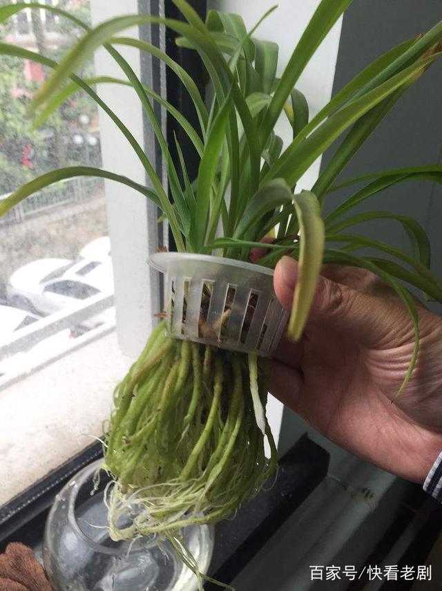 蜜蜂的饲养方法