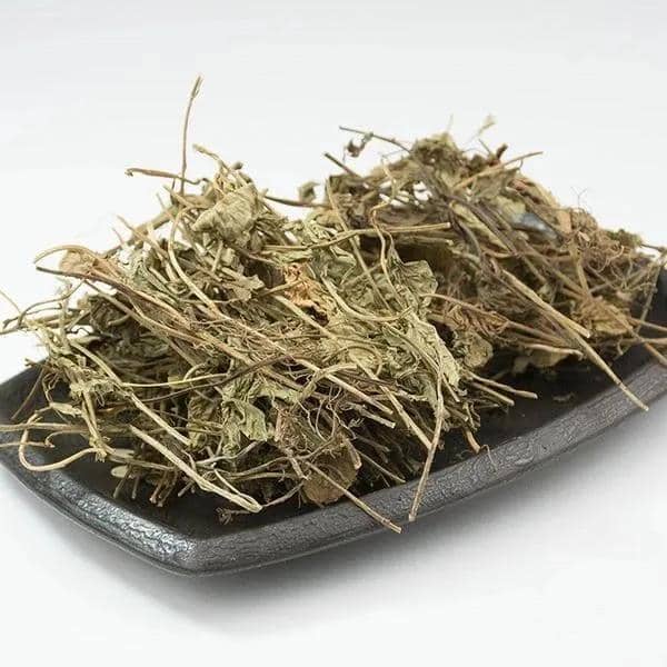 标题：盆栽生菜种植：打造绿色健康的小型菜园