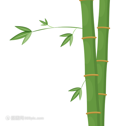 碰碰香的养殖方法