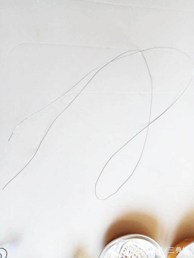 睡莲根茎种植方法图解：轻松掌握种植技巧