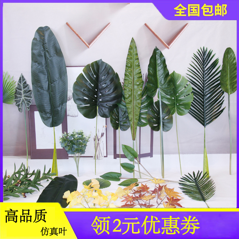 水仙养殖方法：打造家中清新雅致的小绿植