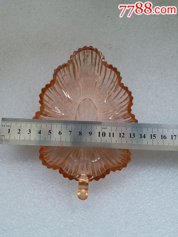 量天尺分段的养殖方法：掌握关键技巧，养出繁茂绿植