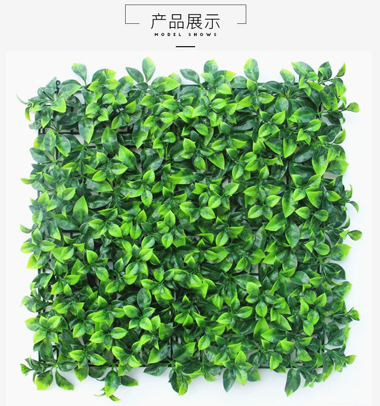 人森榕树盆栽：养护指南与生活意义