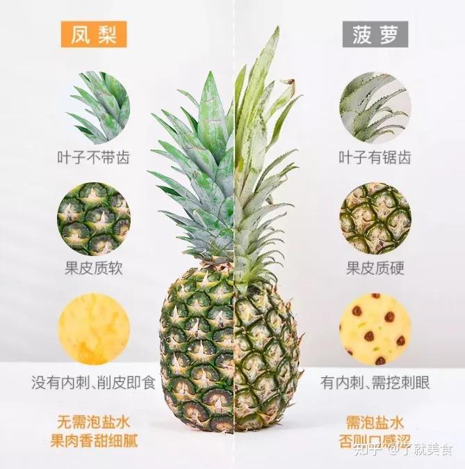 黄豆芽的种植方法步骤