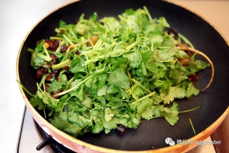 菊花怎么扦插？专业园丁教你轻松繁殖菊花