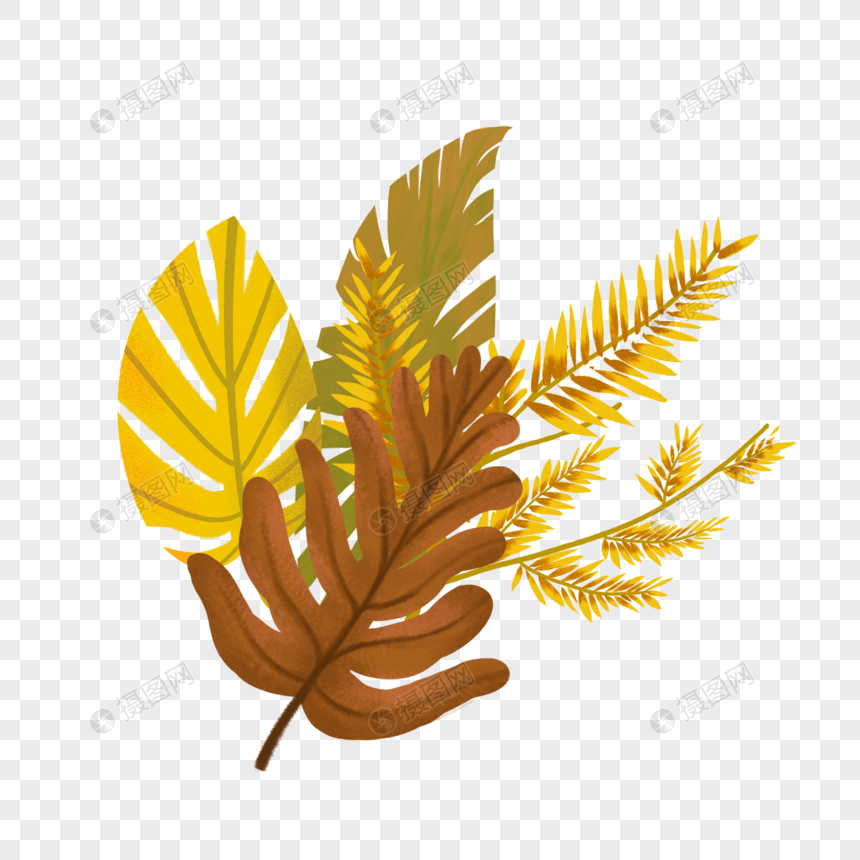 茉莉的繁殖方法：掌握要点，轻松繁殖美丽花朵