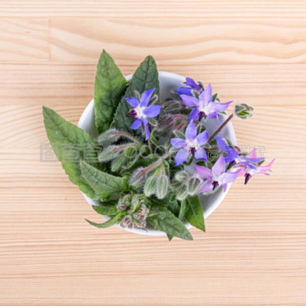 草莓盆栽怎么打理：掌握要点，轻松在家种植美味草莓