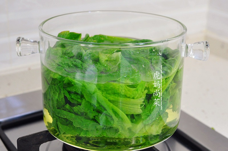 红掌水养方法：让您的红掌繁茂生长的秘诀