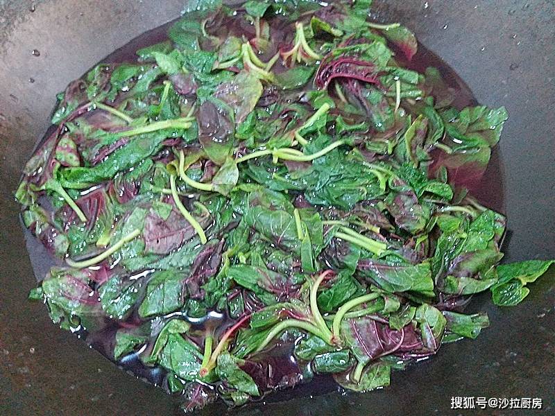 矮牵牛扦插图：掌握繁殖技巧，轻松养出繁茂矮牵牛