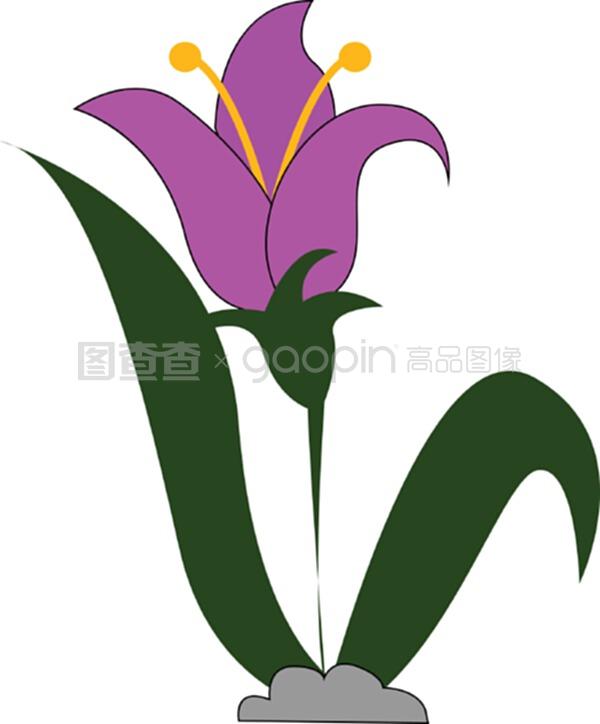 播种还是扦插快？植物繁殖方法大比拼
