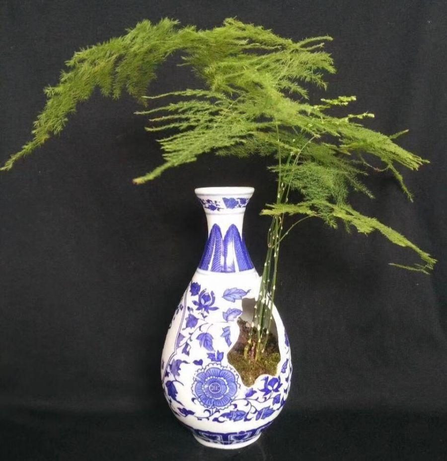 标题：木耳菜怎么种植方法