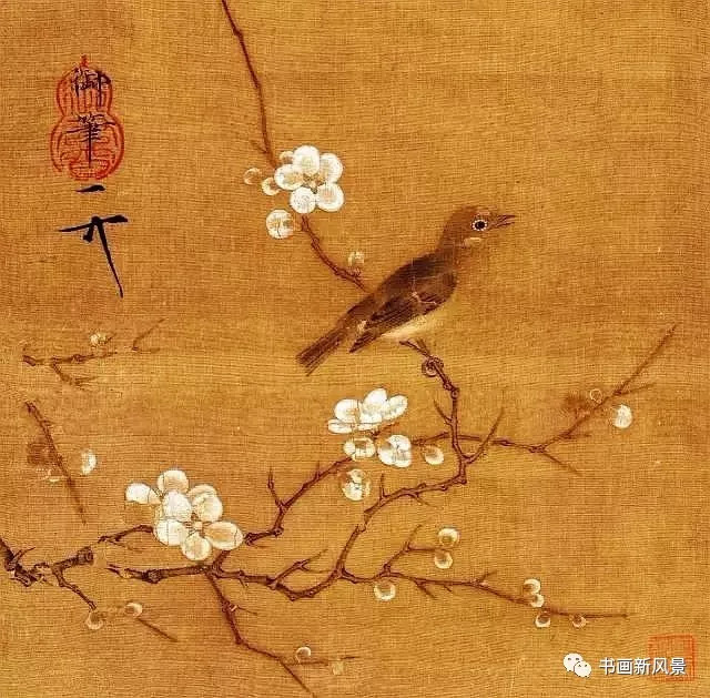 梅花可以盆栽吗？专业园丁为您解答