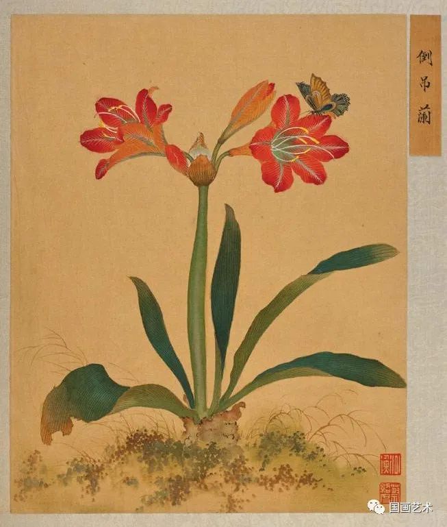 蔷薇花的养殖方法视频：专家教你养花技巧
