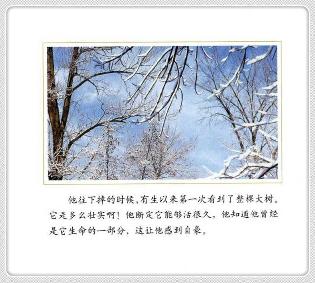 传统养蜂方法：守护甜蜜的古老智慧