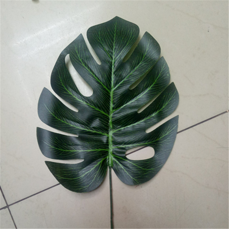 # 菊花扦插种植方法如下：掌握技巧，轻松繁殖菊花