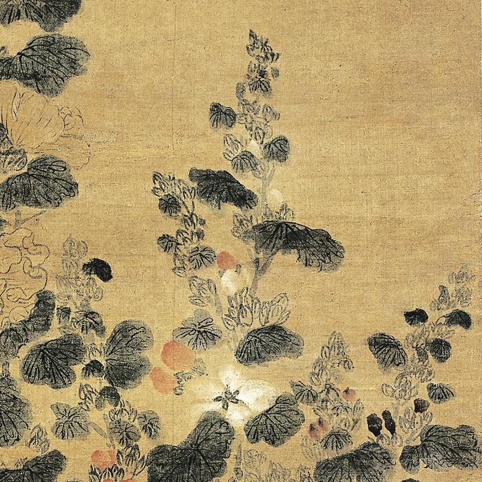 花叶络石扦插育苗图：掌握繁殖技巧，打造绿意盎然的花坛