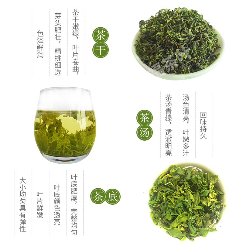 虎刺梅扦插水培：轻松掌握繁殖新技巧