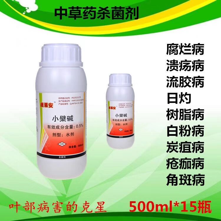紫藤养殖方法：打造梦幻花廊的秘诀