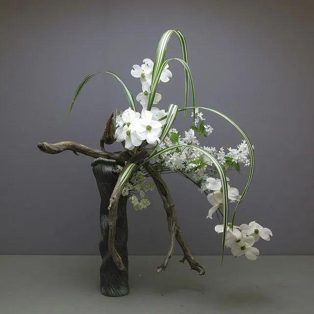 花菜的种植方法和时间：掌握要领，轻松栽培