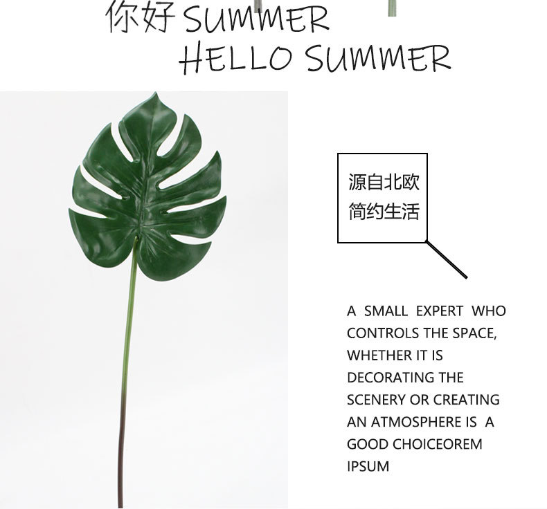 # 茭白种植方法：掌握要领，丰收在望