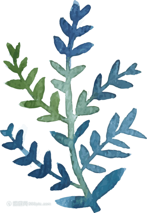 苹果种子盆栽种植方法