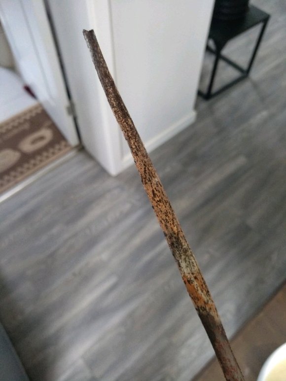 ### 一帆风顺怎么养殖方法：养护指南与技巧