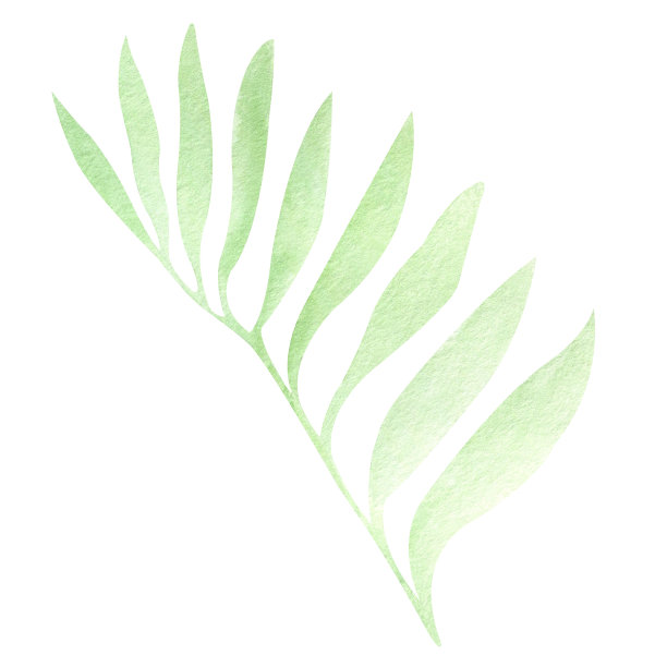 蓝莓的种植方法：掌握技巧，实现丰收