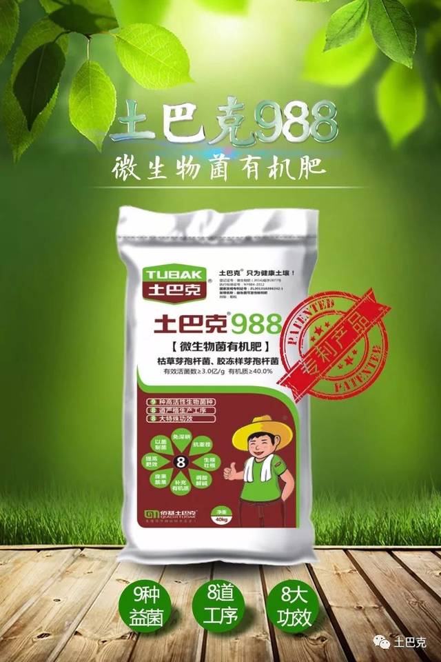 桂花盆栽修剪：让您的盆栽更加繁茂迷人