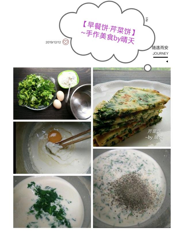 盆栽植物大全：探索绿色生活的艺术