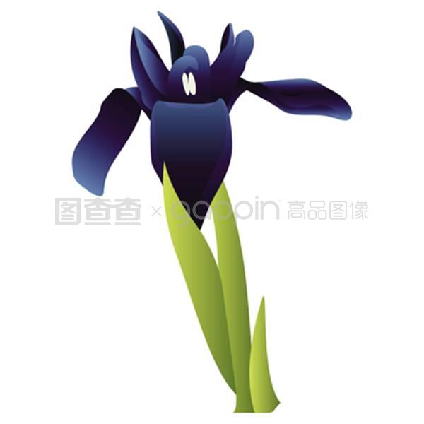 百合花盆栽：优雅养护指南