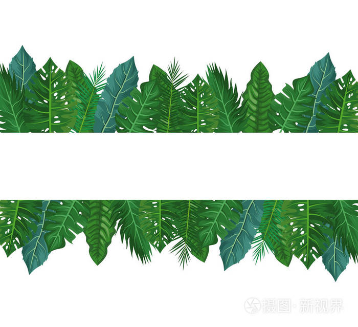 黄金万年草的爆盆方法
