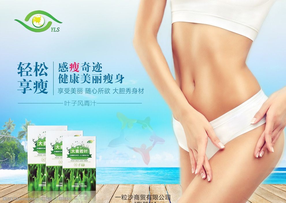 竹子可以盆栽吗？