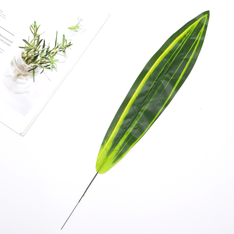 送雏菊盆栽：传递温馨与希望的绿意