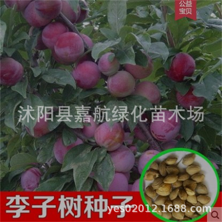 # 蒲包花的养殖方法 # 蒲包花的养殖方法