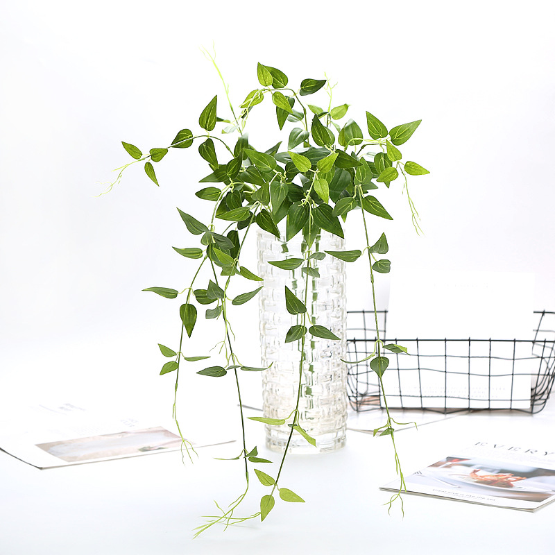 百合盆栽怎么浇水 - 植物养殖园丁指南