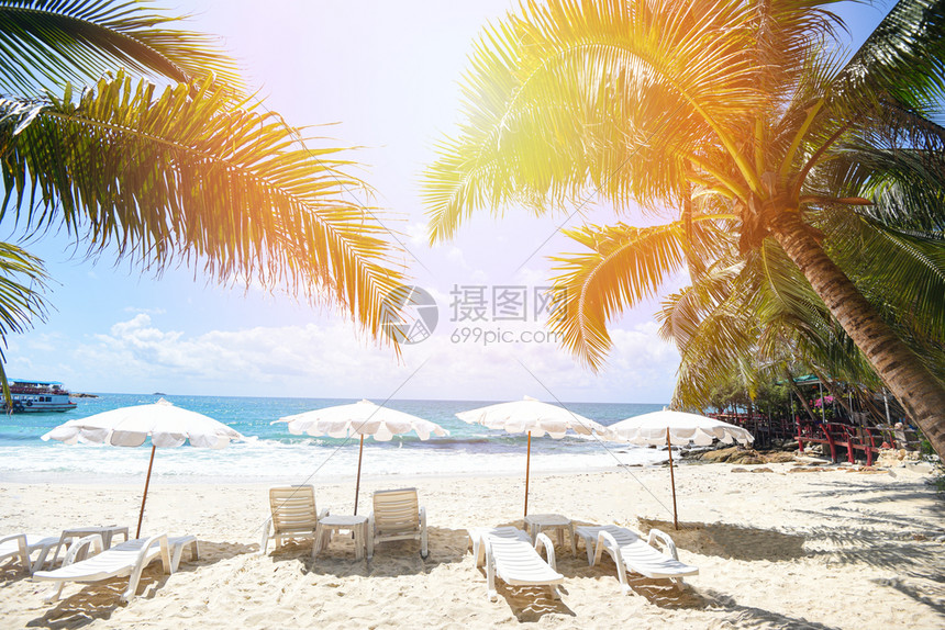 鱼腥草扦插：掌握技巧，轻松繁殖绿色佳品