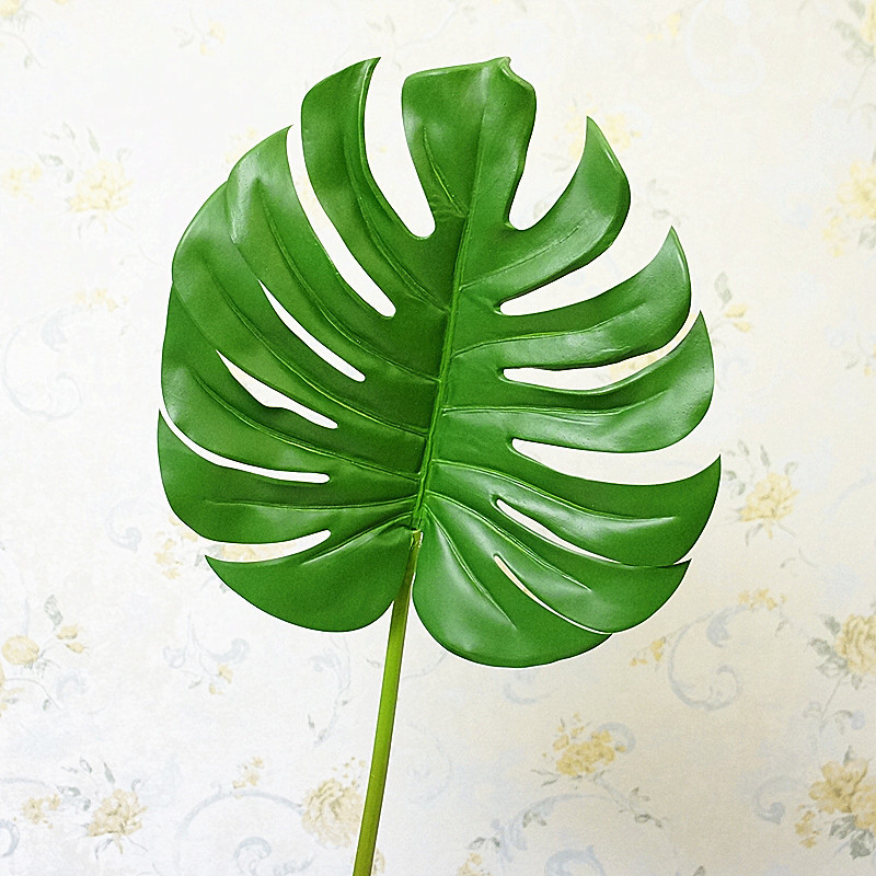蔷薇扦插先长芽：掌握技巧，实现高效繁殖