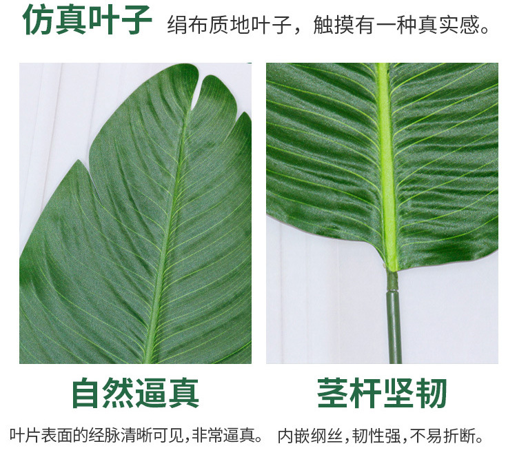 朋友开张送什么盆栽？最佳选择指南