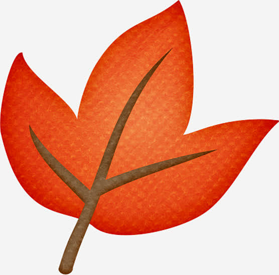 蜀葵盆栽图片：养护要点与欣赏指南