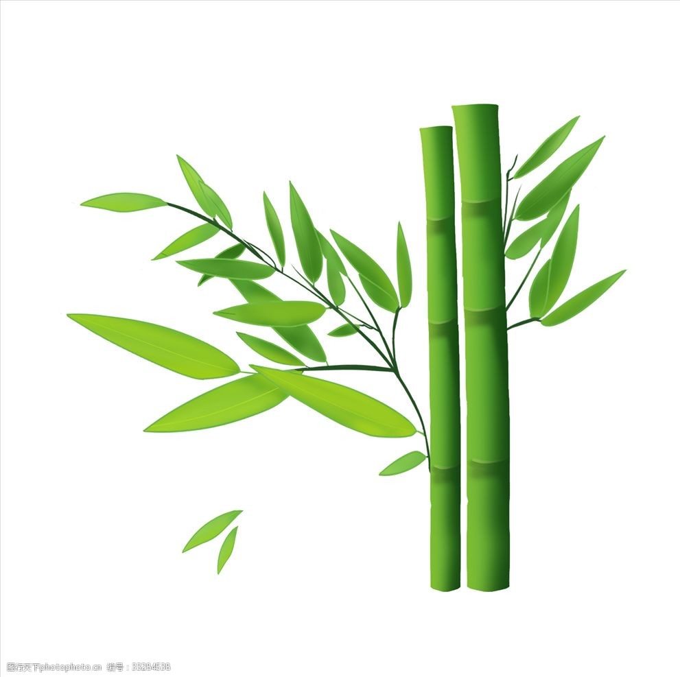 非洲茉莉扦插：详解繁殖技巧与养护要点